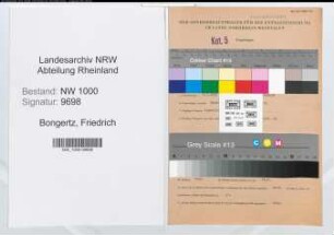 Entnazifizierung Friedrich Bongertz, geb. 09.03.1890 (Revisor)