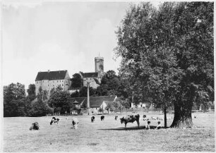 Burg Gnandstein von Süden. Photographie, 11,8 x 16,5 cm. Frohburg, Heimatmuseum im Schloss Frohburg Nr. 66c