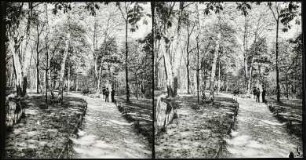 Paris. Bois de Boulogne