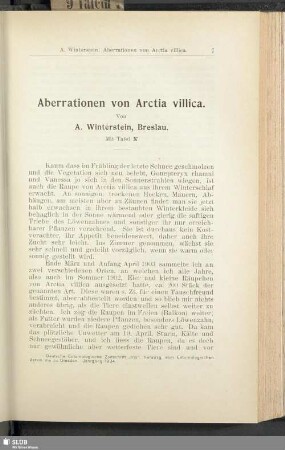 Aberrationen von Arctia villica