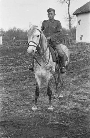 Zweiter Weltkrieg. Zur Einquartierung. Sowjetunion. Angehöriger der deutschen Wehrmacht zu Pferde