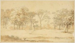 Landschaft mit hohen Laubbäumen