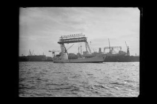 Marie Horn (1959), Horn & Co. K.G., Glückstadt