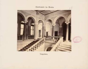 Rheinische Friedrich-Wilhelms-Universität Bonn Anatomisches Institut: Treppenhaus