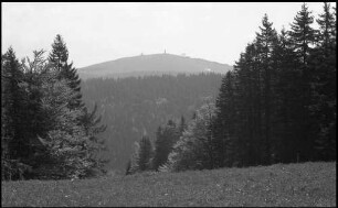 Stübenwasen: Wald mit Durchblick zum Feldberg