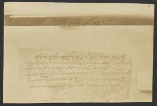 [Beil. 43: Fotografie der Hs. 15013 [Suppl. 1669] der ÖNB Wien, sog. althochdeutsches Schlummerlied [Fälschung]]