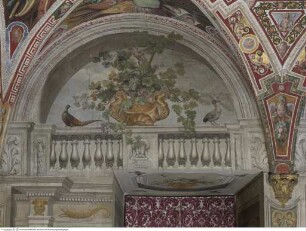 Weite Landschaften hinter illusionistischer Kolonnade mit bekrönender Balustrade, Oktagonale Scheindeckenöffnung mit Blumenvase und Vögeln, darüber Balustrade