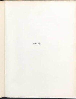 Tafel XII.