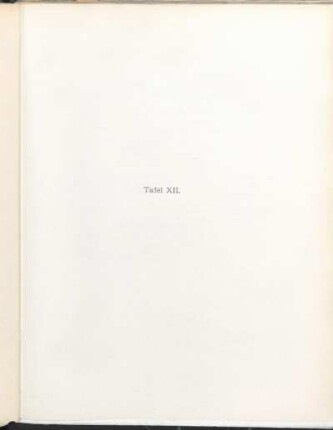 Tafel XII.