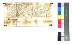 Johann Christoph von Freyberg-Eisenberg, Propst zu Ellwangen, verleiht an Georg Reichart ein näher beschriebenes Lehen zu Bühlertann.