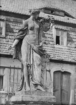 Flora