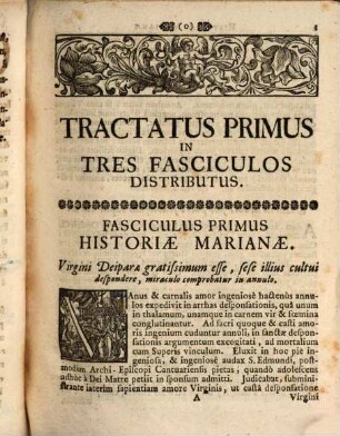 Historicus Et Encomiastes Marianus : Referens Miranda, Ope Deiparae Circa Mortales Patrata ...