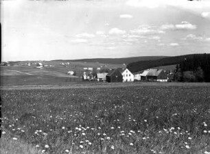 Erzgebirge? Ortsansicht mit Einzelgehöften. Blick über eine Wiese