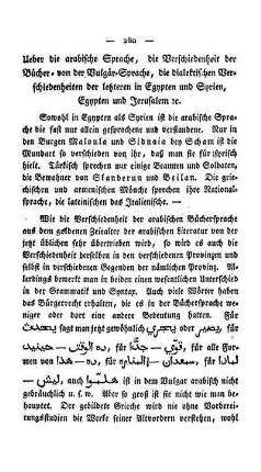 Ueber die arabische Sprache, die Verschiedenheit der Bücher- von der Vulgär-Sprache, die dialektischen Verschiedenheiten der letzteren in Egypten und Syrien, Egypten und Jerusalem [et]c.