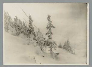 Am kleinen Teich im Riesengebirge