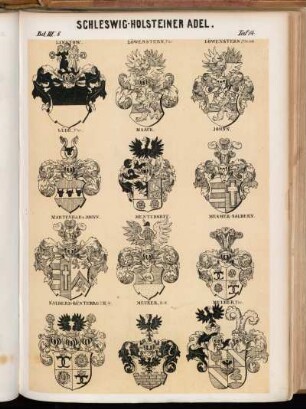 Taf. 14. Linstow. - Löwenstern, Fhr. - Löwenstern, Fhr. and. - Lüde, Fhr. - Maack. - Johnn. - Marteville v. Johnn. - Mentzdorff. - Mesmer-Saldern. - Saldern-Günterroth, Gr. - Meuer, St.-W. - Meuer, Fhr.