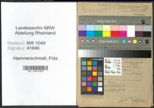 Entnazifizierung Fritz Hammerschmidt , geb. 04.02.1905 (Techniker)
