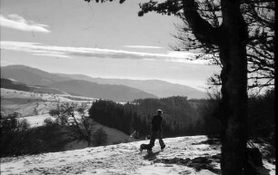 Schauinsland: Blick zum Belchen