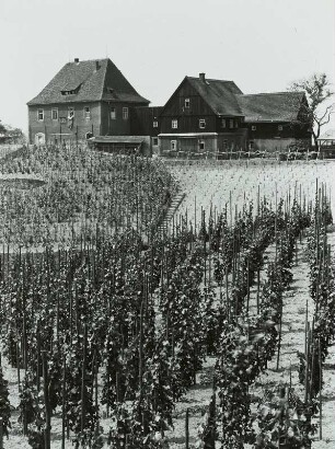 Weinberge mit dem ehemaligen Haagschen Weingut