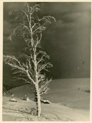 Hofsgrund bei Schnee
