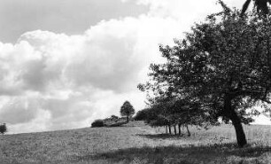 Obercunnersdorf. Ehem. Bergmühle, Blick zum Windmühlenberg