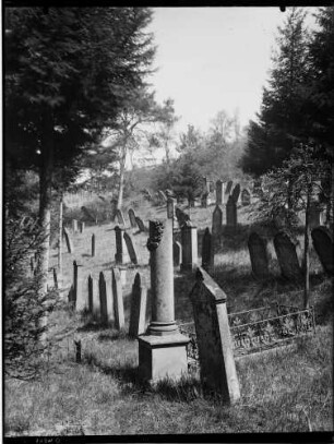 Oberöwisheim Judenfriedhof Grabsteine
