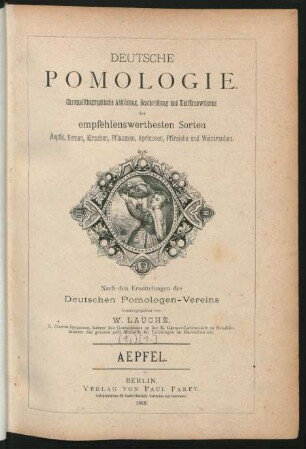 1,1: Aepfel
