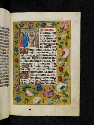 Vollbordürenseite mit Streumusterbordüre und Textanfangsminiatur: Darbringung im Tempel (Non)