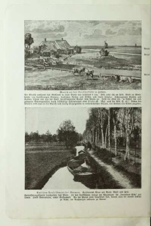 Aus dem Teufelsmoor bei Bremen. Kultiviertes Moor mit Wiese, Wald und Feld