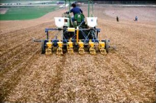 Fotografie: Säverfahren, Mulchsaat, Einzelkornsämaschine, Zuckerrübe, Unterfußdüngung