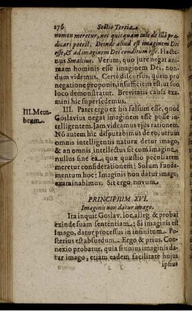 Principium XVI. Imaginis non datur imago.
