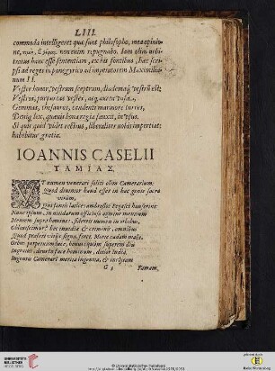 IOANNIS CASELII ΤΑΜΙΑΣ