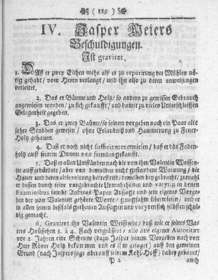 IV. Jasper Meiers Beschuldigungen.