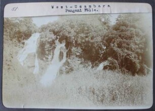 West-Usambara: Pangani Fälle