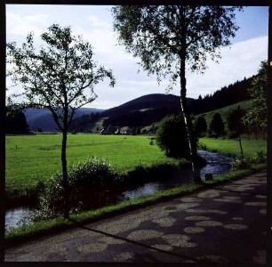 Hammereisenbach: Bregtal, Fluss, mit Straße