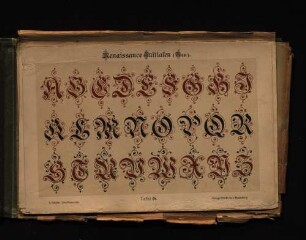 Renaissance Initialen (Neu) - Tafel 64