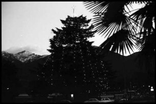 Muralto Locarno: beleuchteter Weihnachtsbaum am Abend