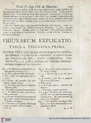 Figurarum explicatio: Tabula trigesima-prima