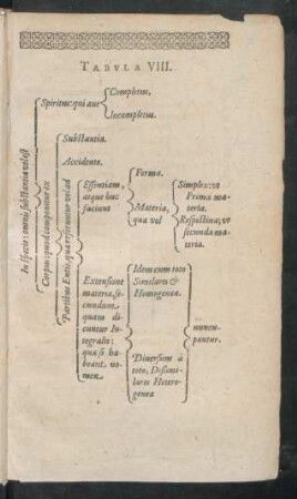 Tabula VIII.