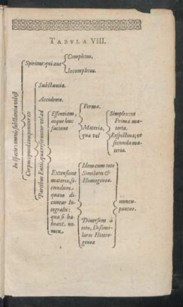 Tabula VIII.