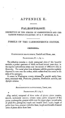APPENDIX E. PALAEONTOLOGY: