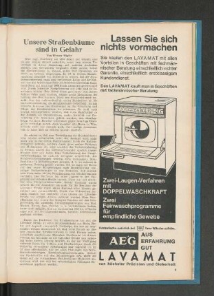 Unsere Straßenbäume sind in Gefahr
