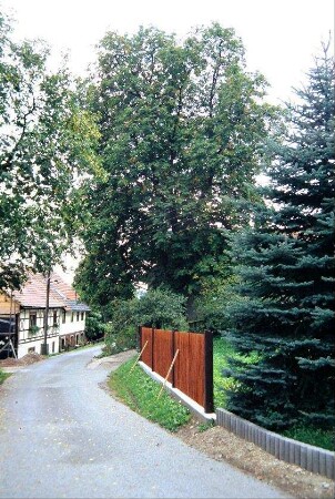 Dorfstraße