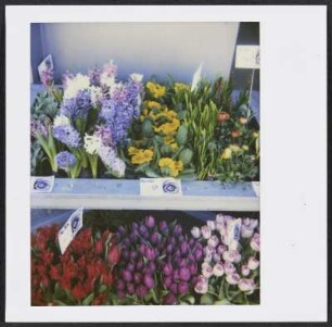 Blumenverkauf in Wien