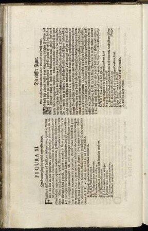 Figura XI. = Die eilffte Figur. - Figura XX. = Die zwantzigste Figur.