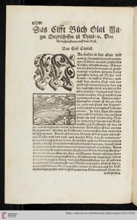 Das Elfft Buch Olai Magni Erzbischoffen zu Opsal / ec. Von Kriegsrüstungen auff dem Eyß