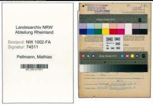 Entnazifizierung Mathias Pellmann, geb. 20.03.1904 (Schreiner)