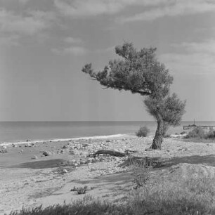 Strand am Schwarzen Meer