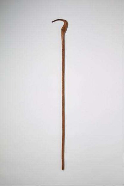 Walking Stick