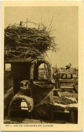 "Nid de Cigognes en Alsace"